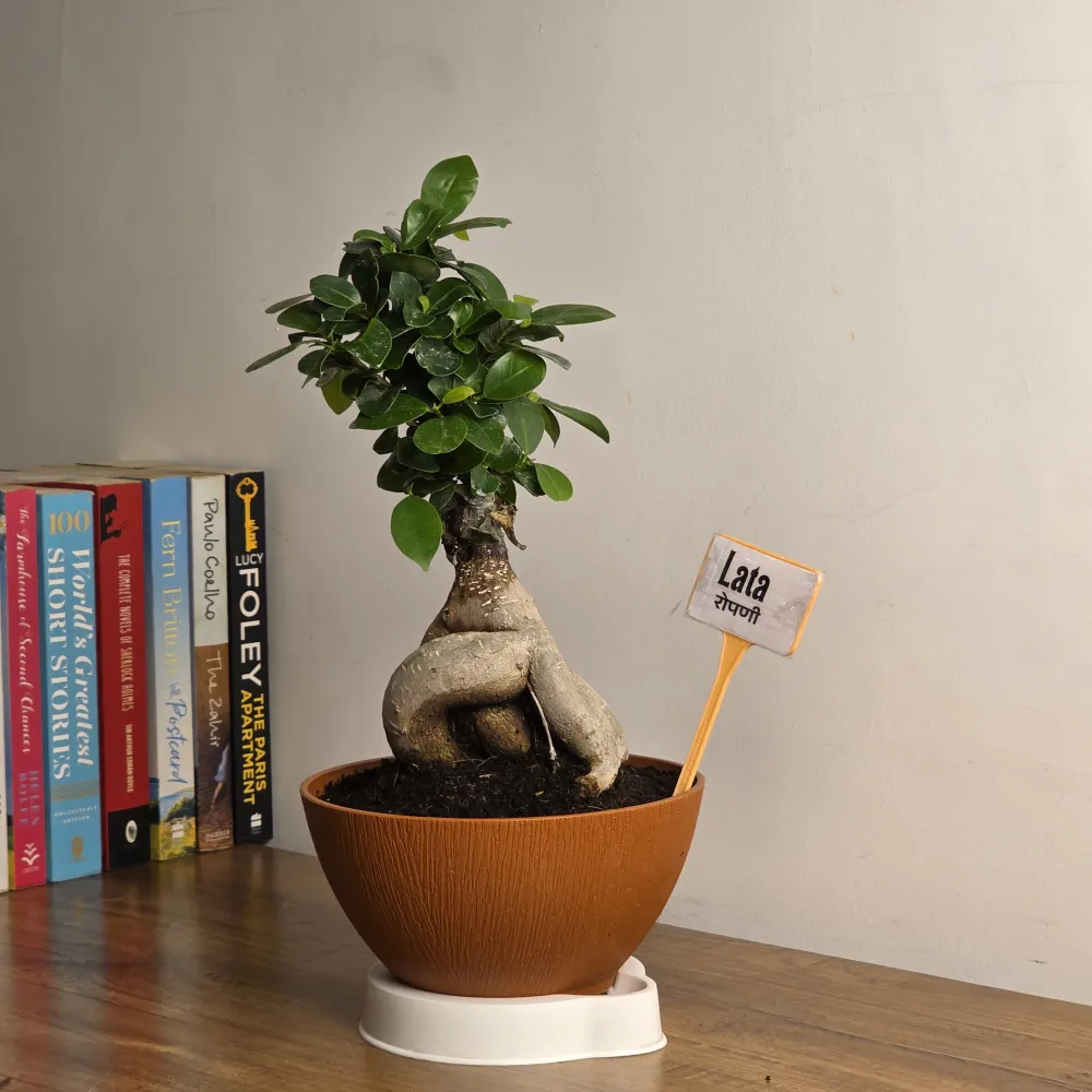 product-gallery