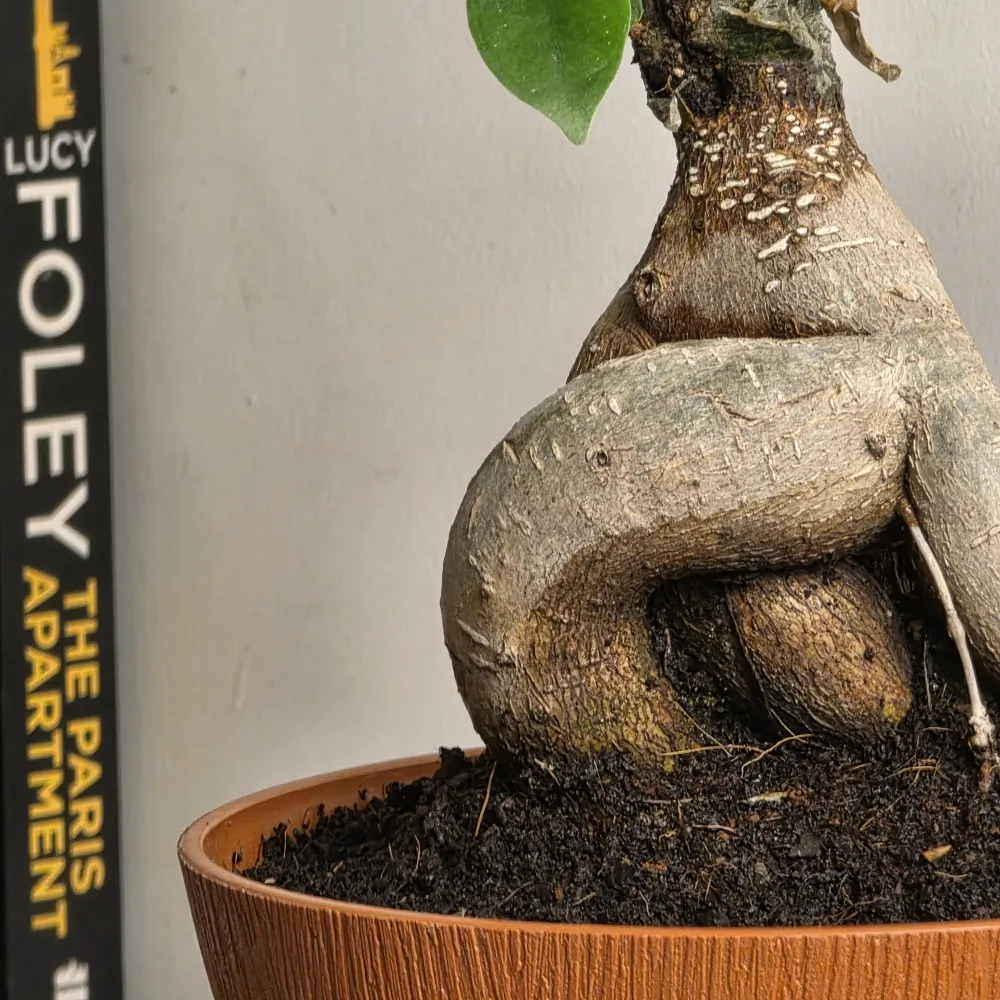 product-gallery