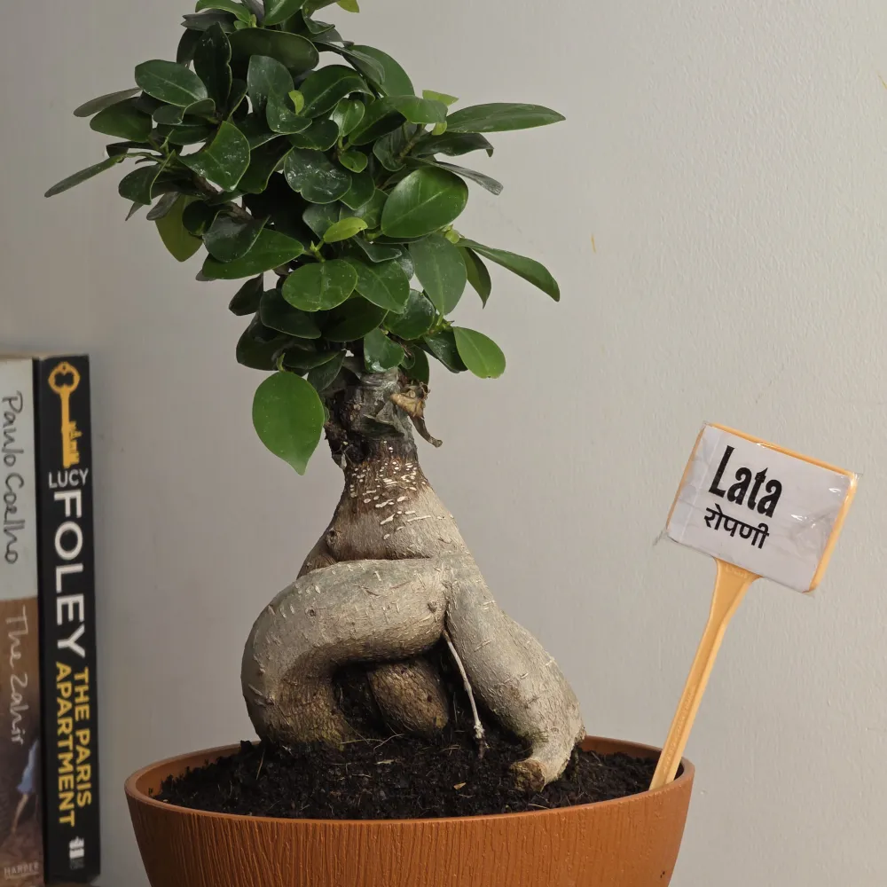 product-gallery