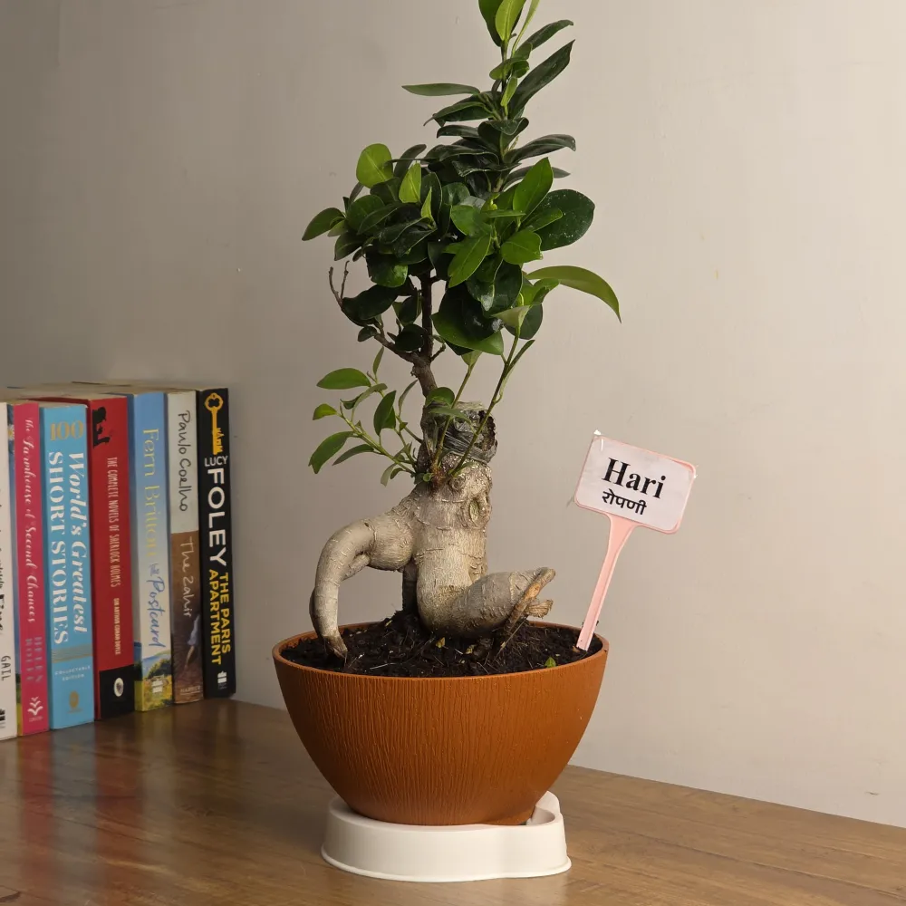 product-gallery