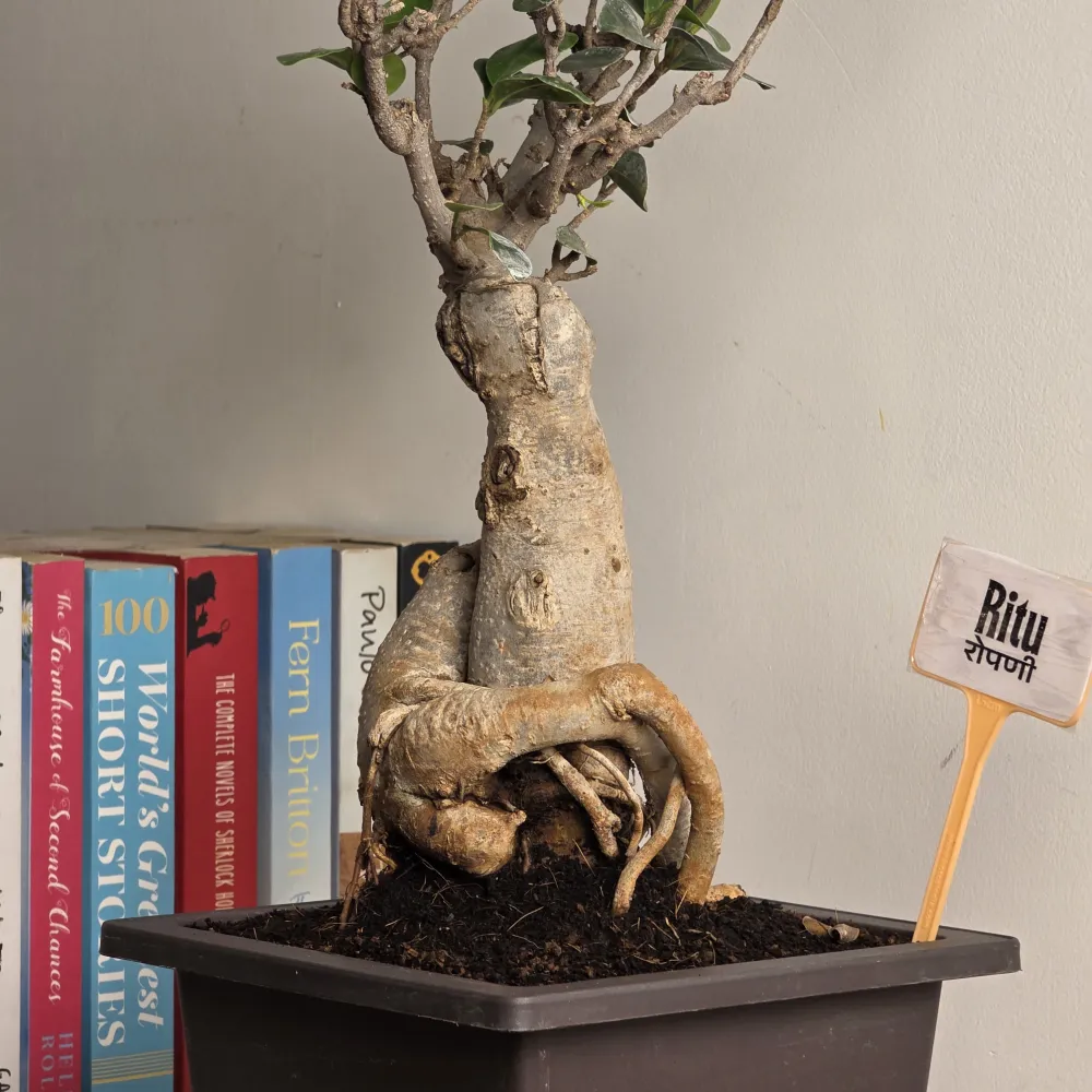 product-gallery