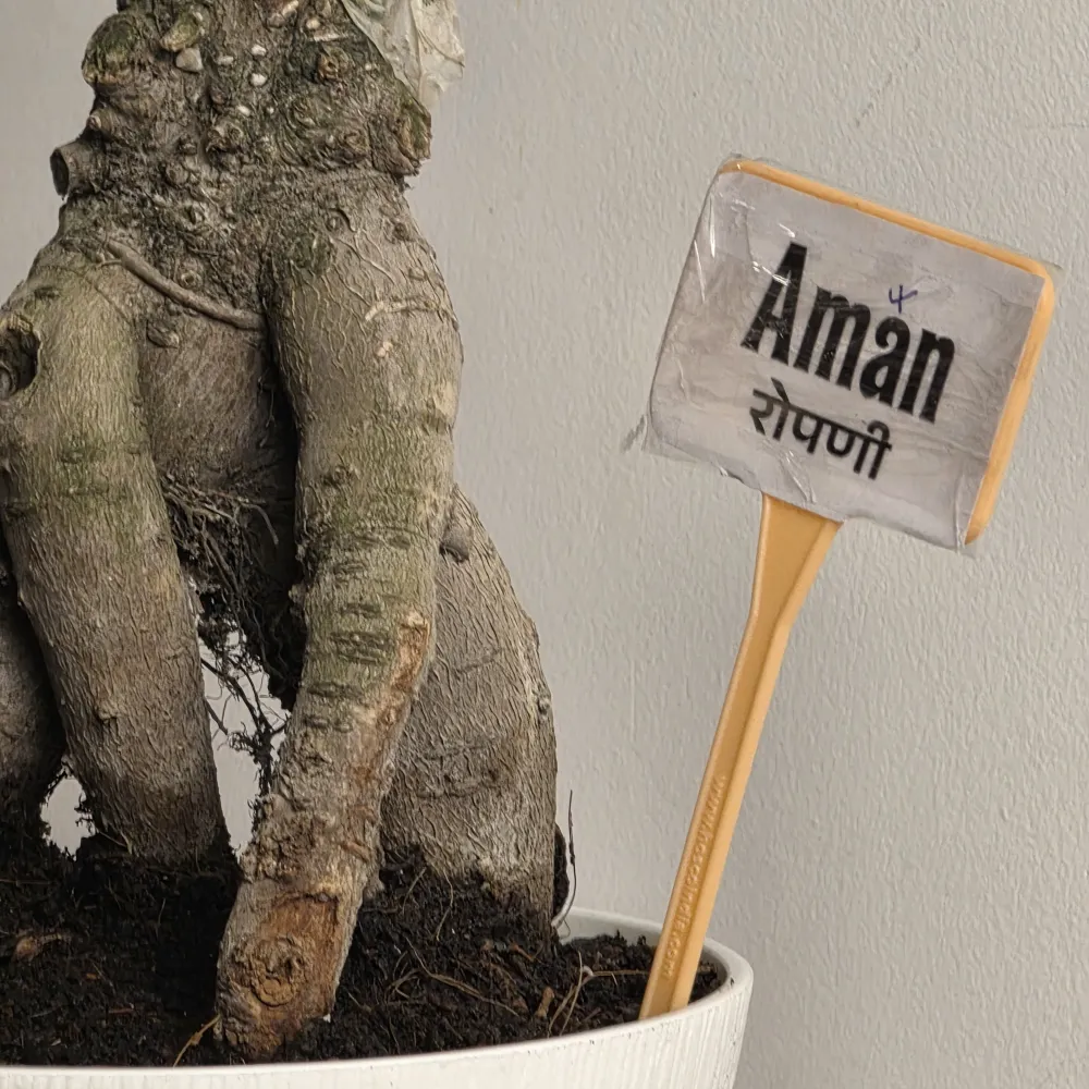 product-gallery