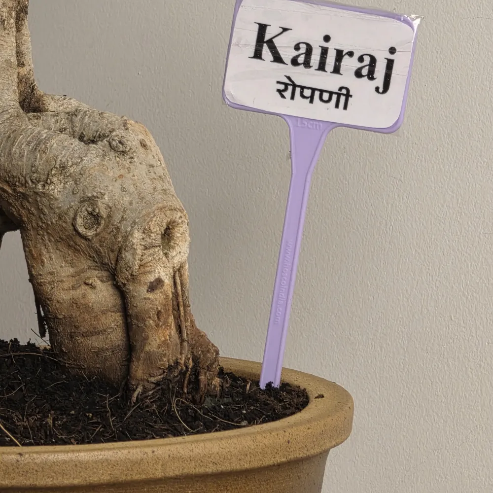 product-gallery