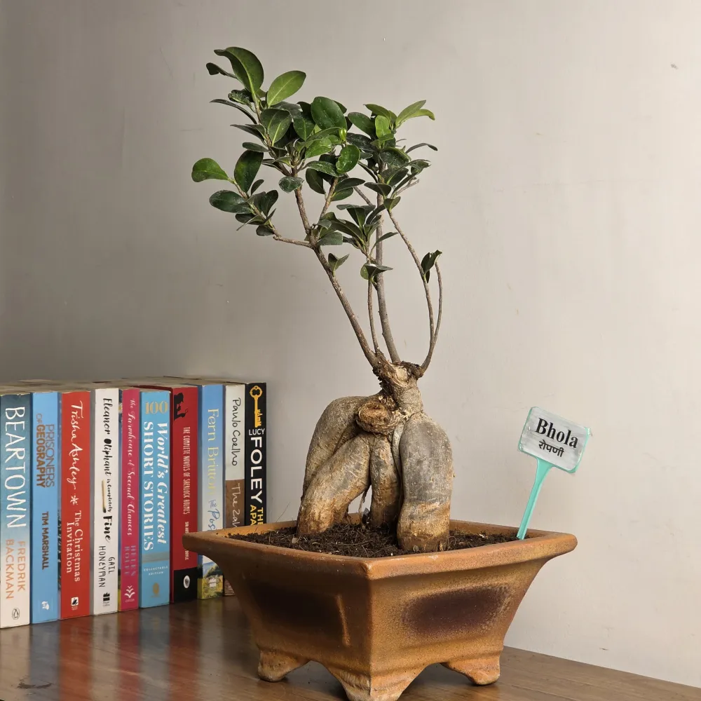 product-gallery