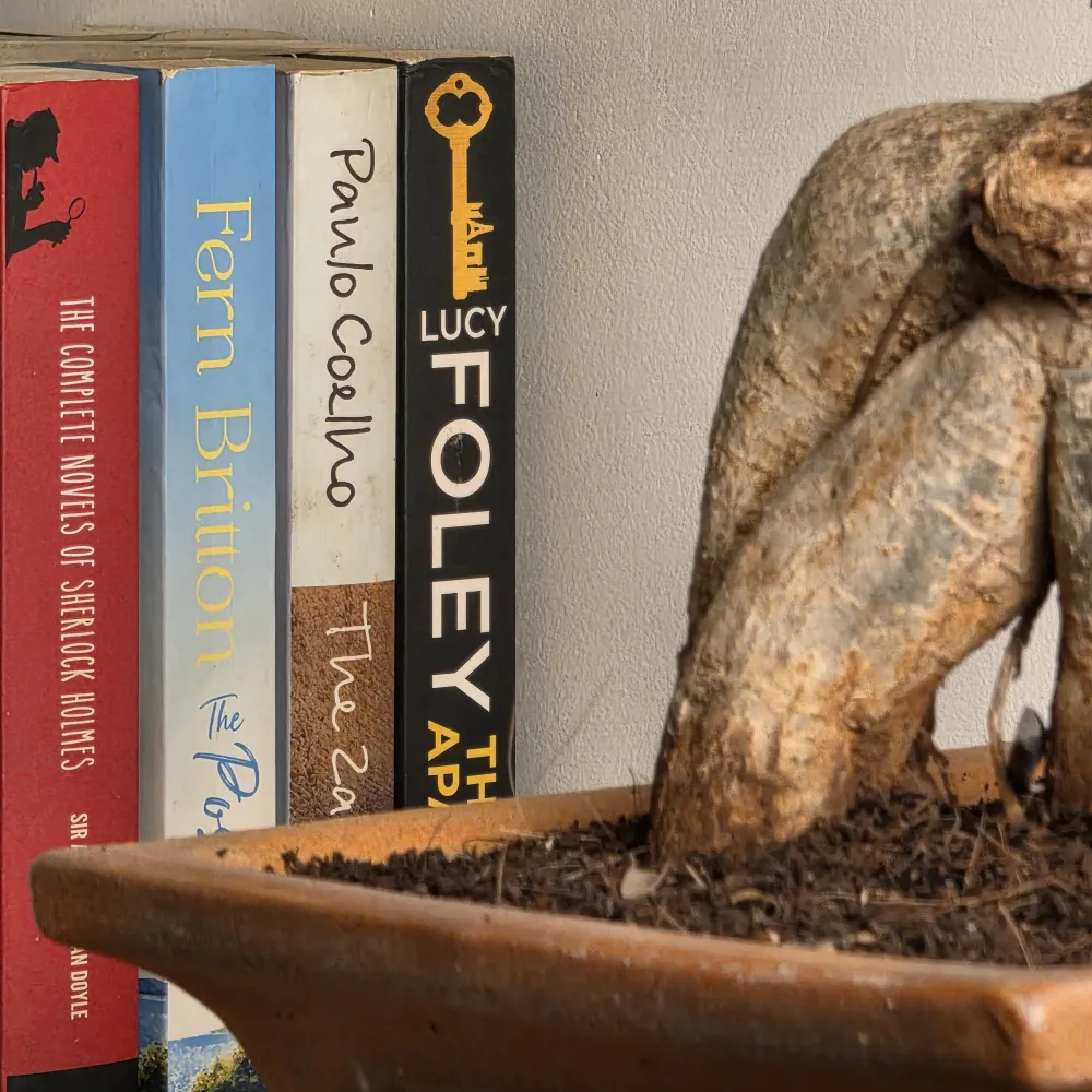 product-gallery