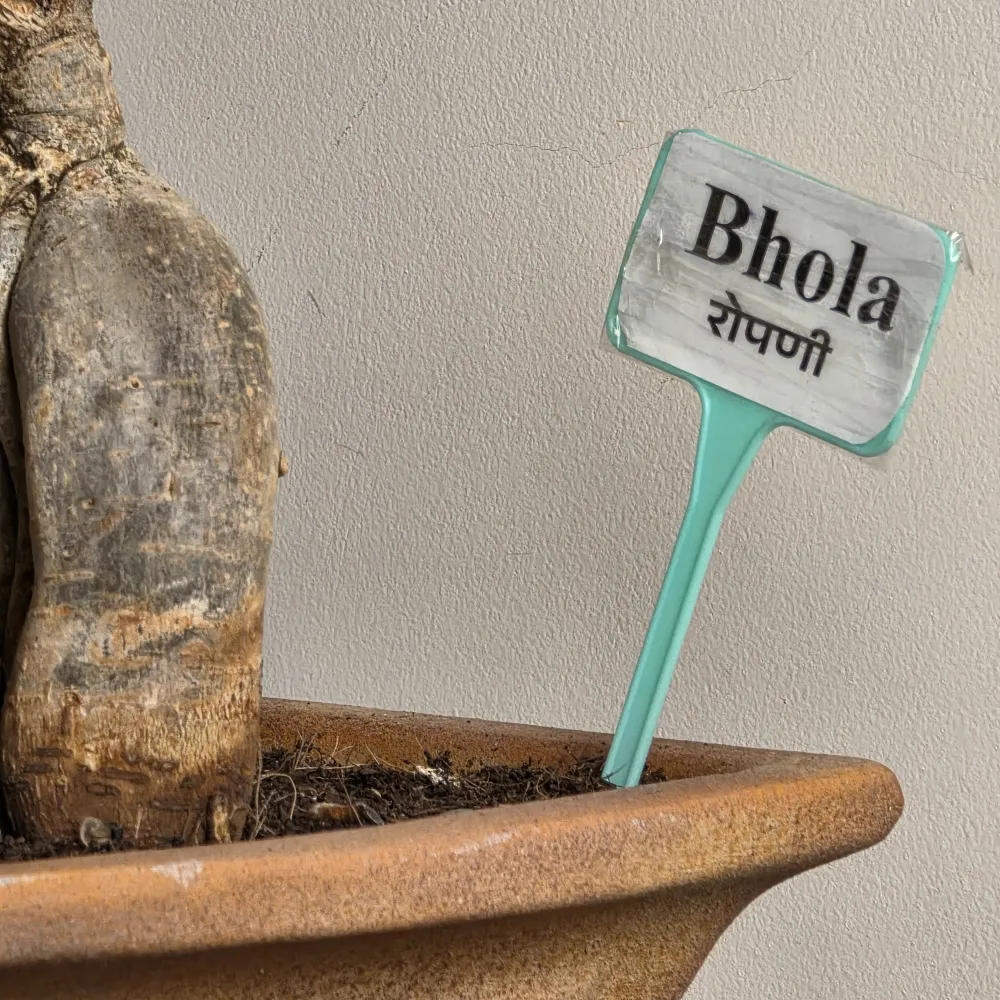 product-gallery