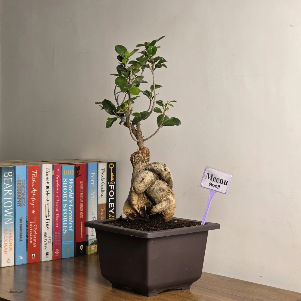 product-gallery