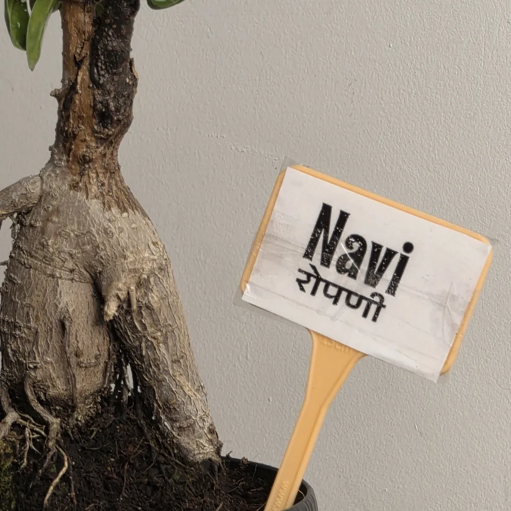 product-gallery