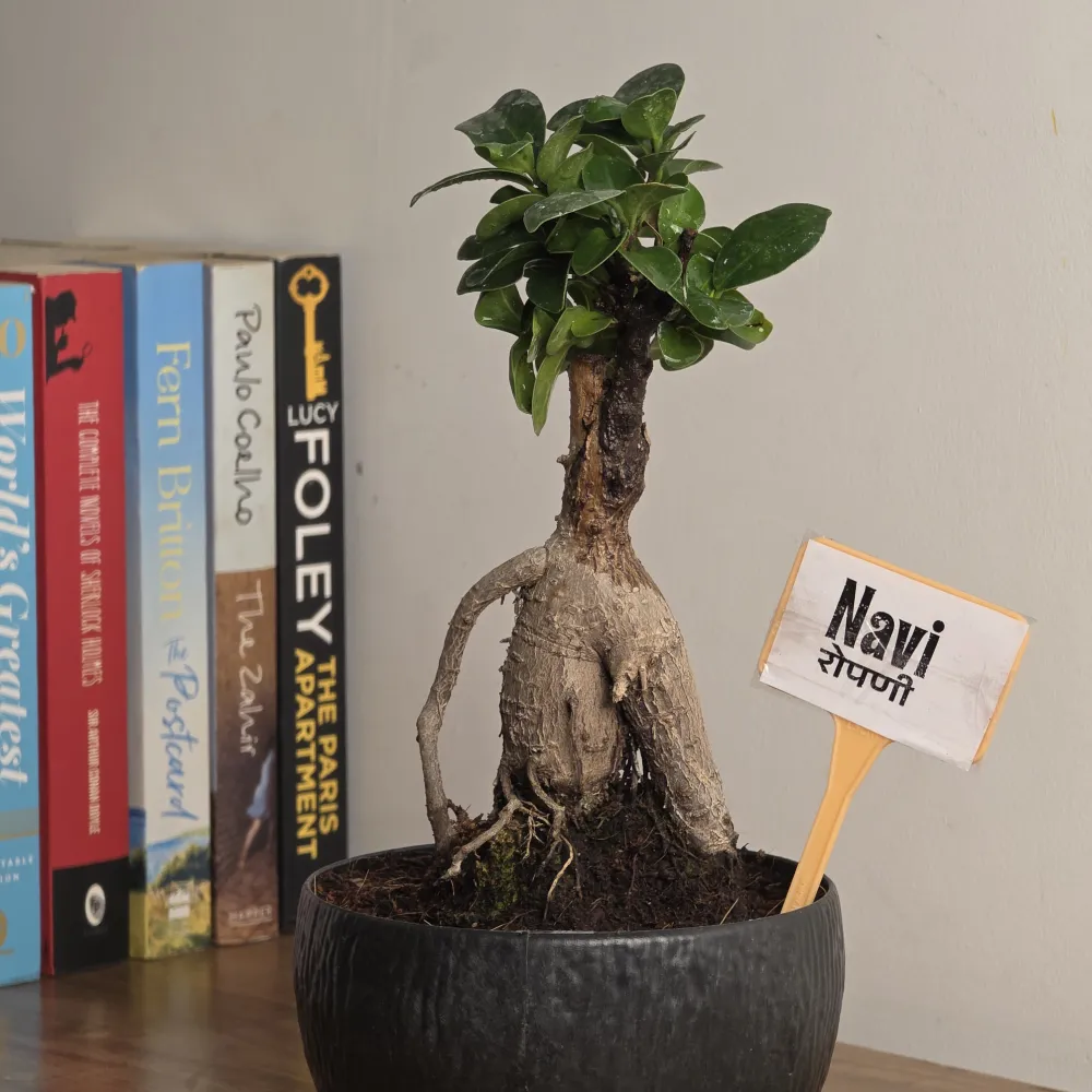 product-gallery
