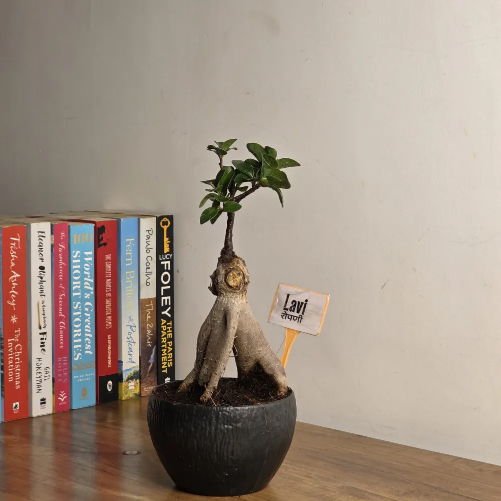 product-gallery