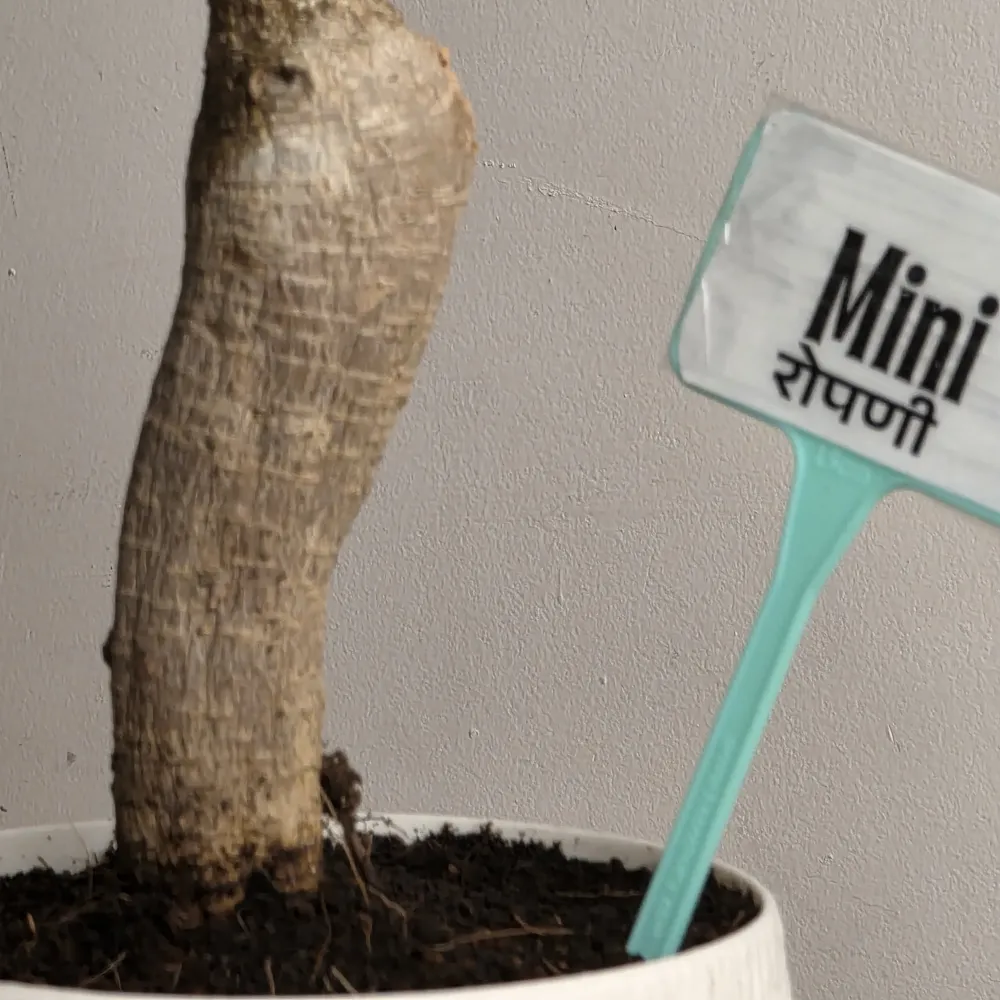 product-gallery