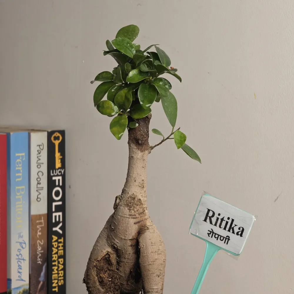 product-gallery