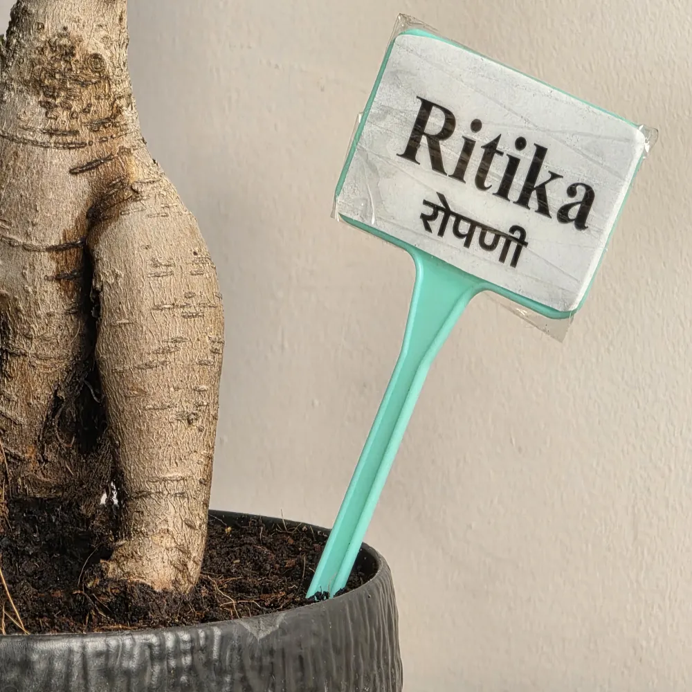 product-gallery