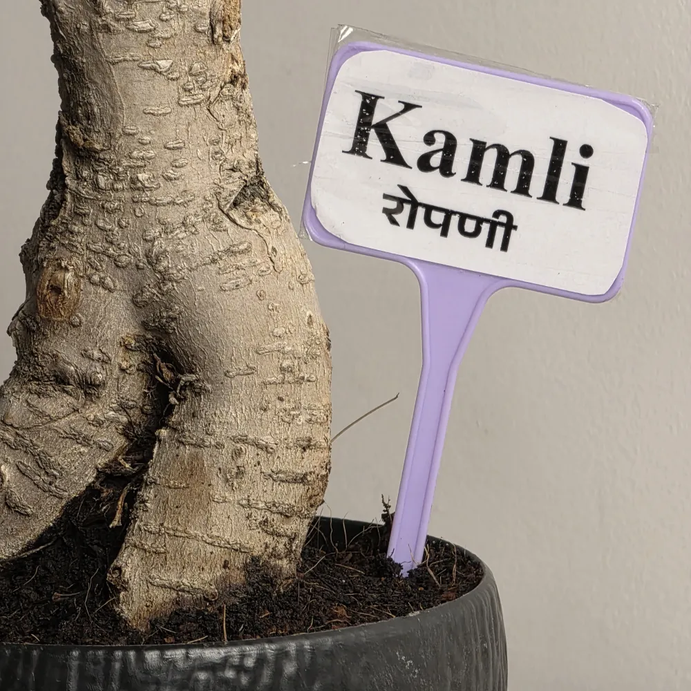 product-gallery