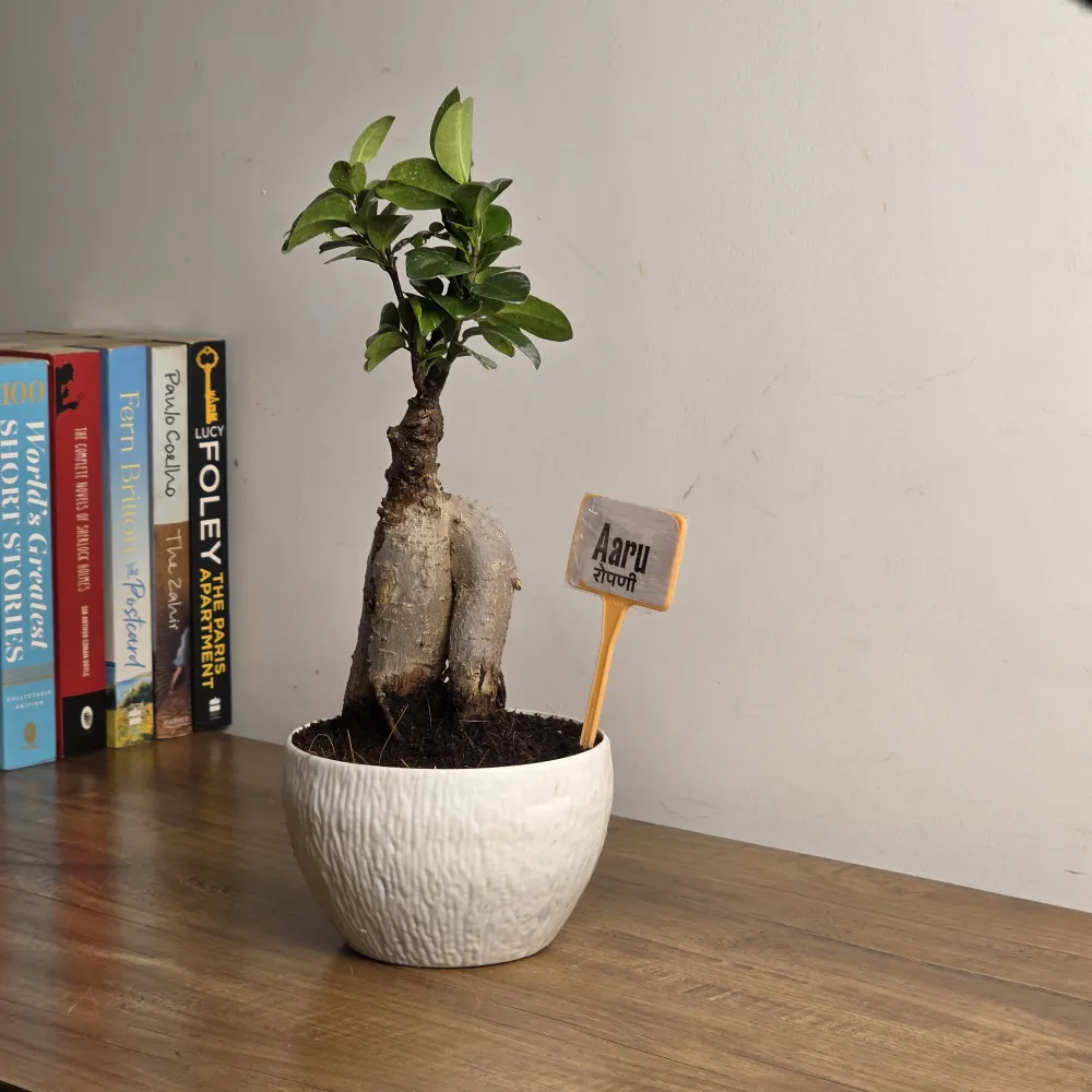 product-gallery