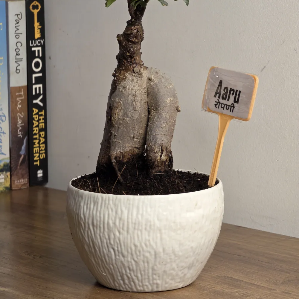 product-gallery