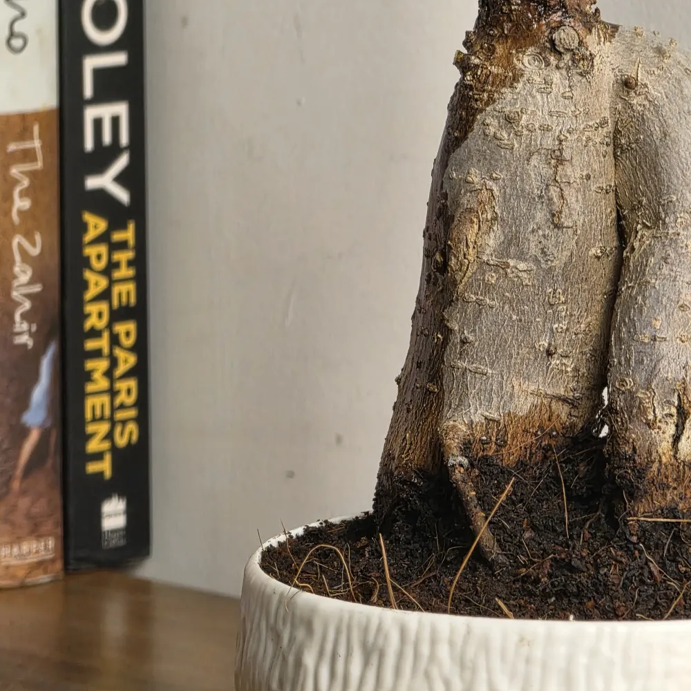 product-gallery