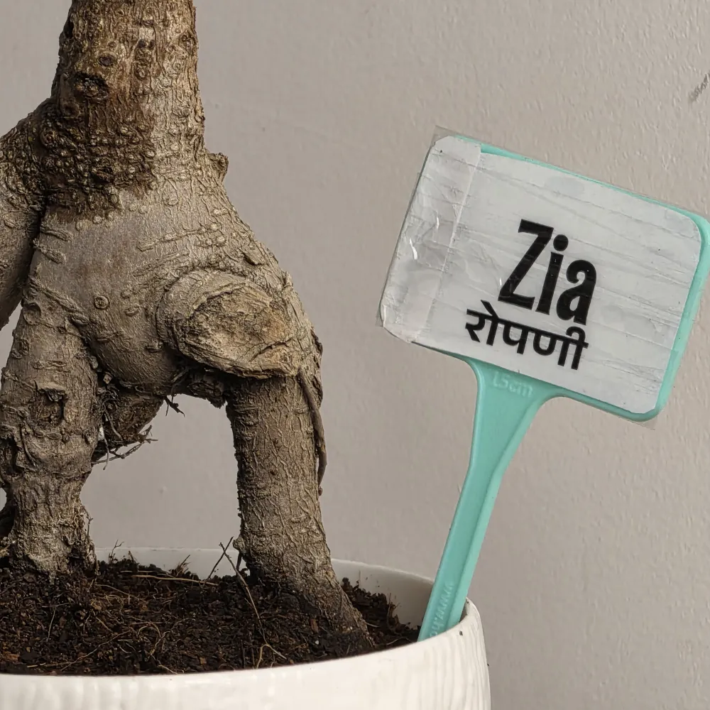 product-gallery