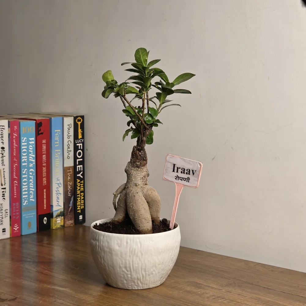 product-gallery