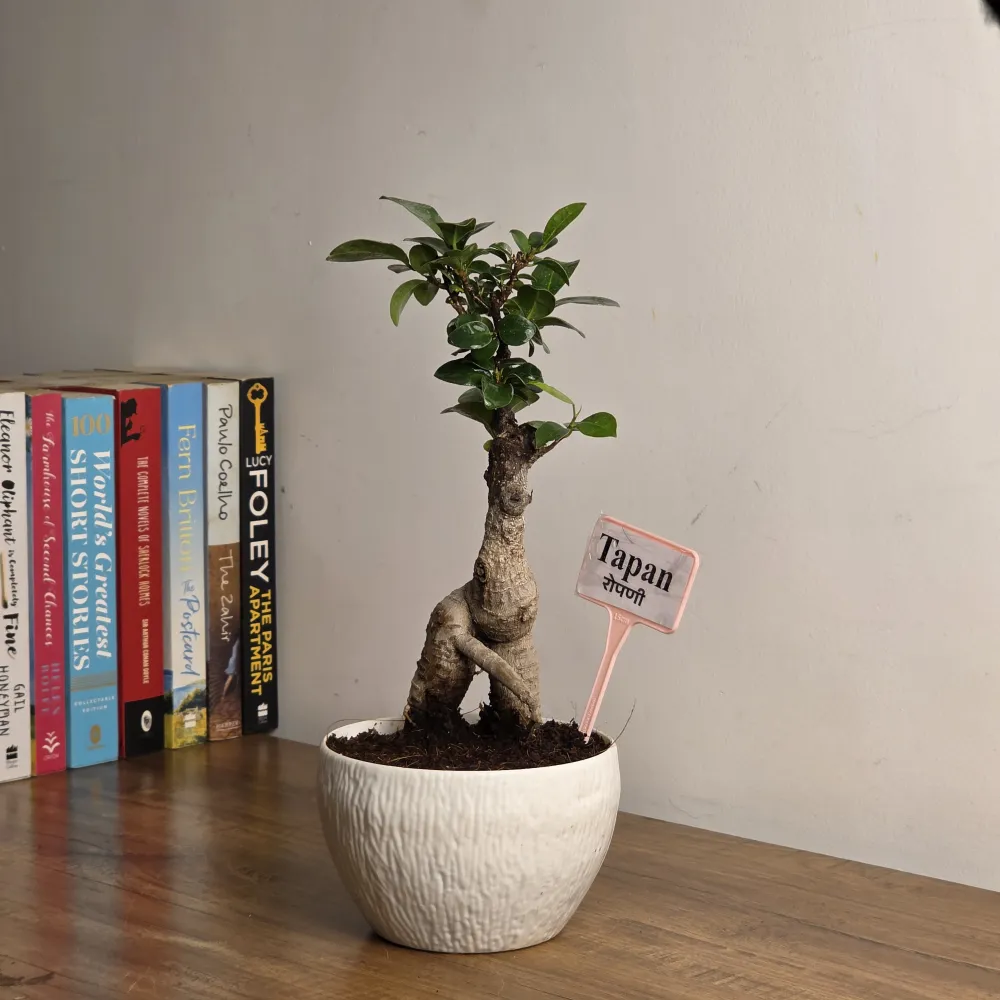 product-gallery