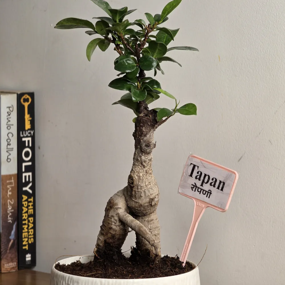 product-gallery