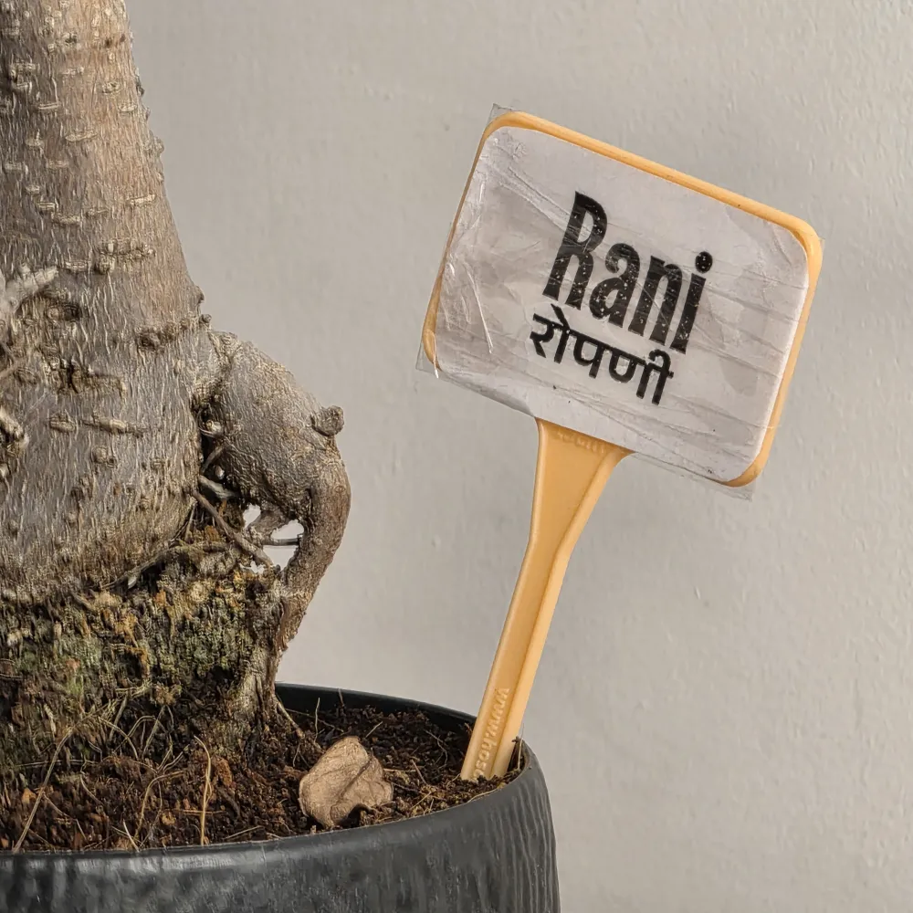 product-gallery