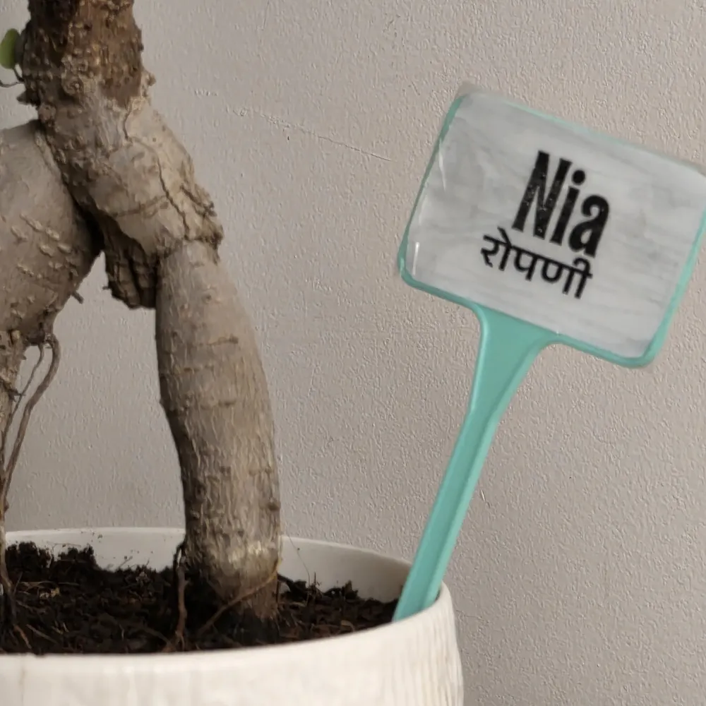 product-gallery