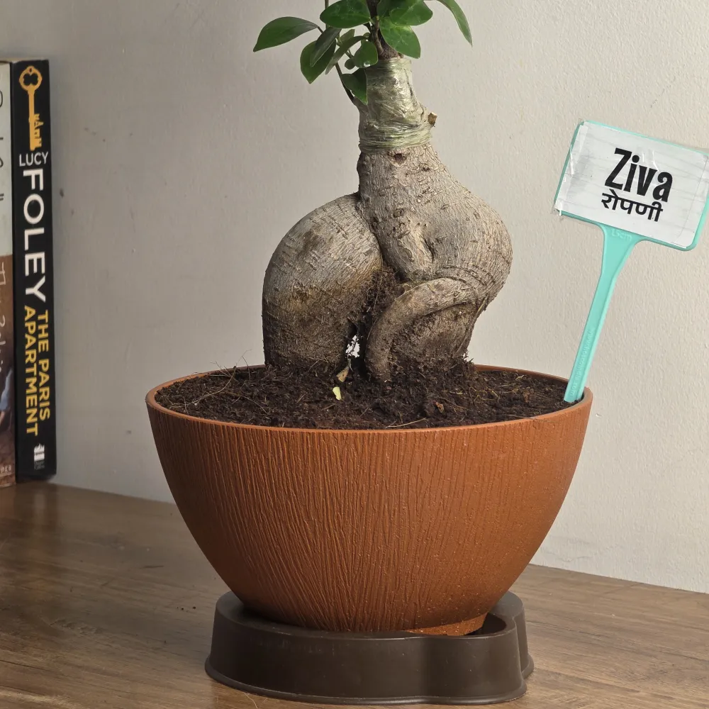 product-gallery