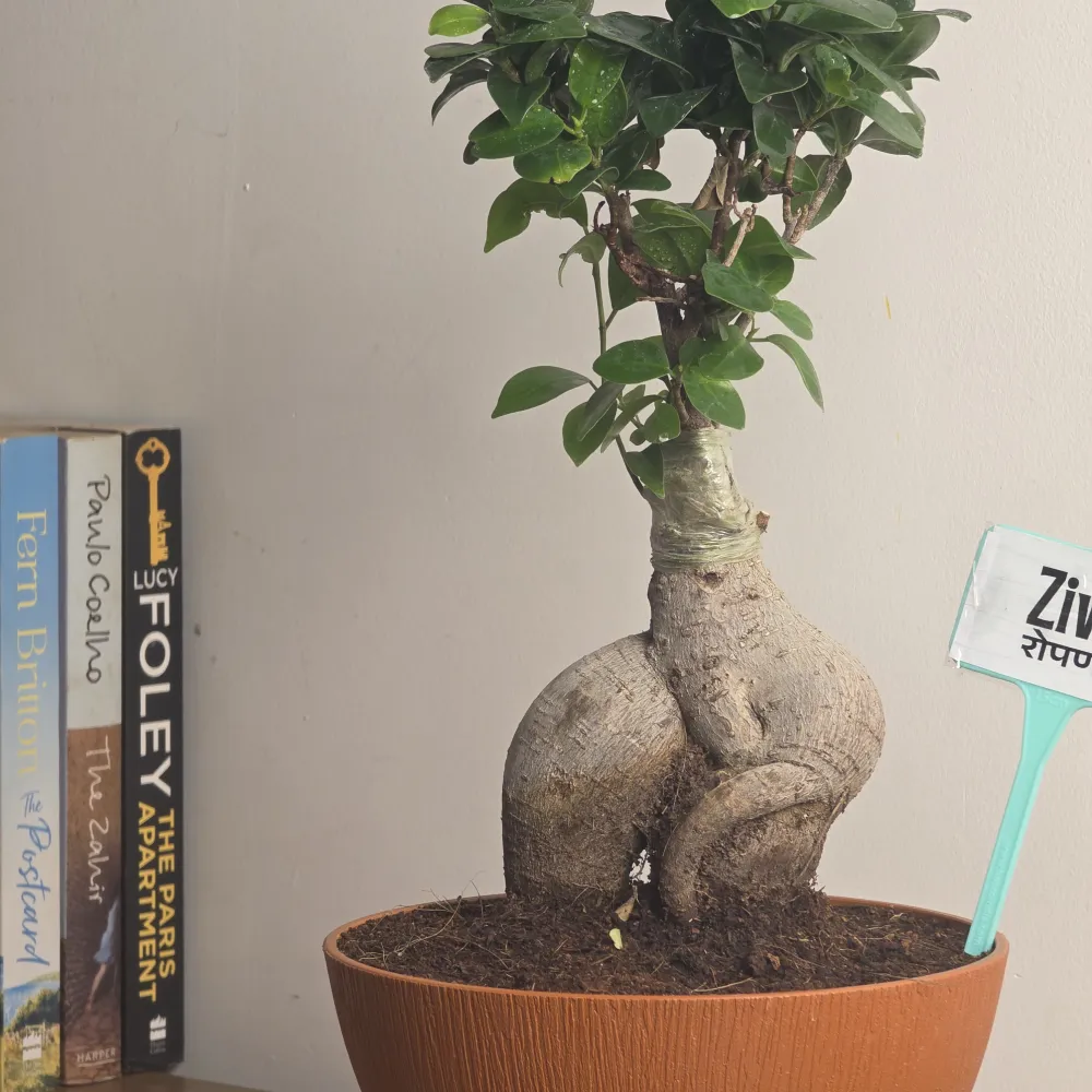 product-gallery