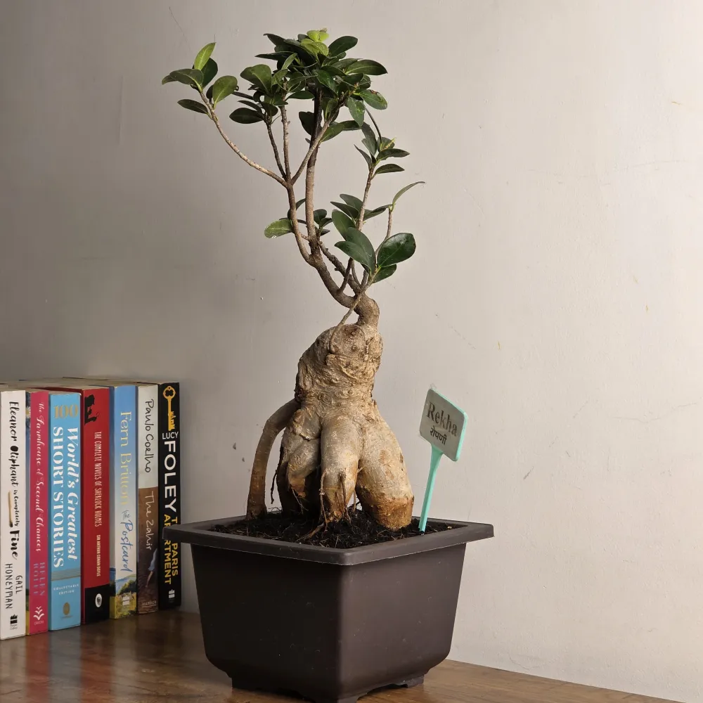 product-gallery