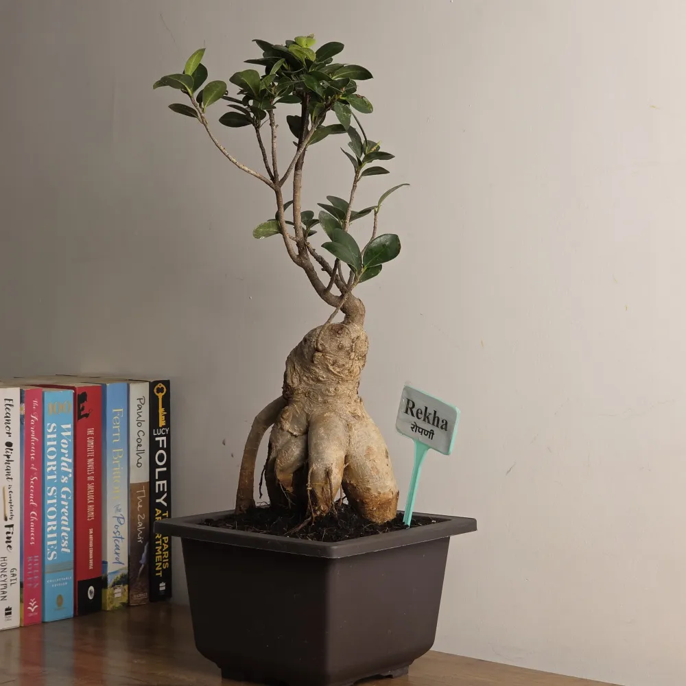 product-gallery
