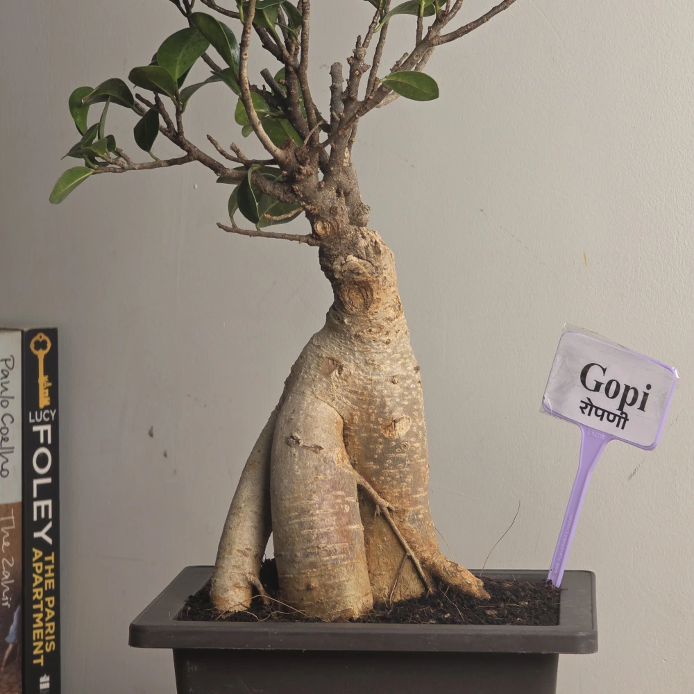 product-gallery