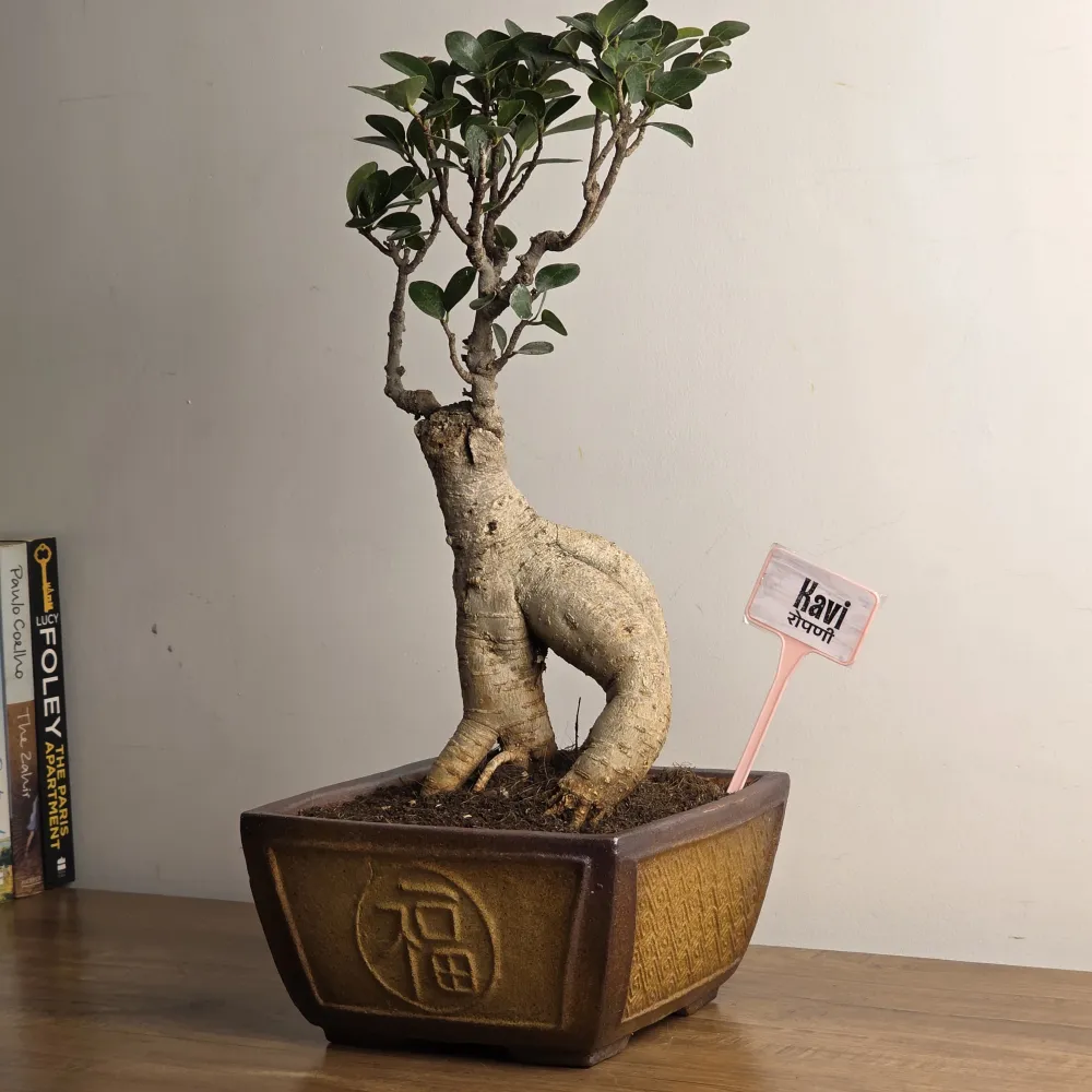 product-gallery