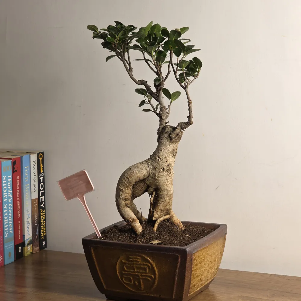 product-gallery
