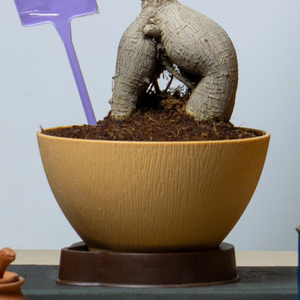 product-gallery