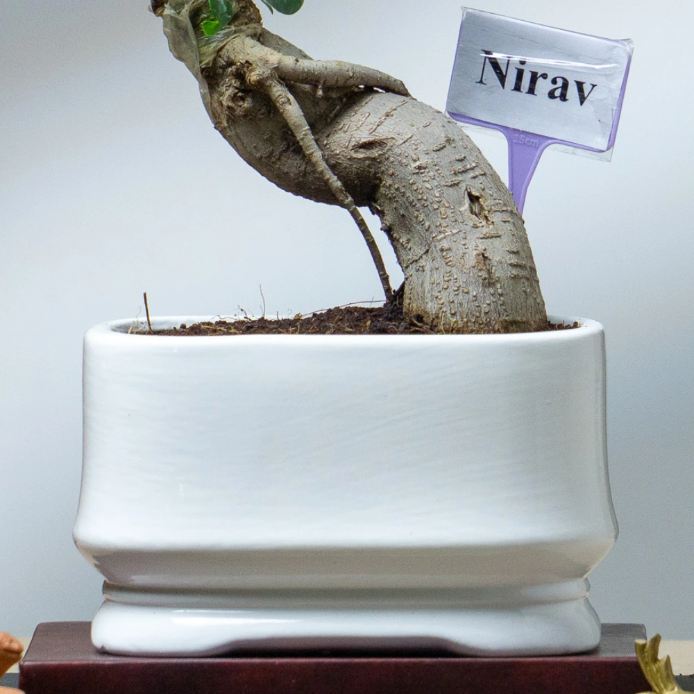 product-gallery