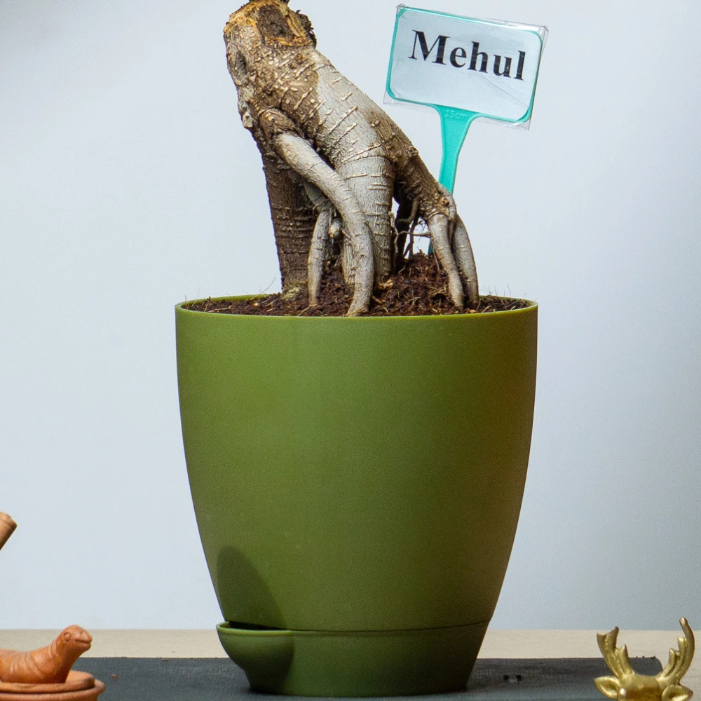 product-gallery