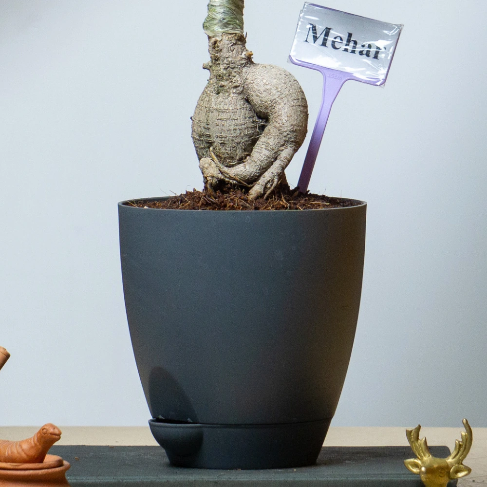product-gallery