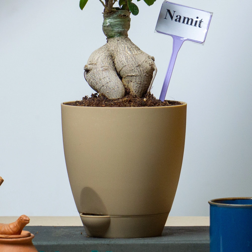 product-gallery