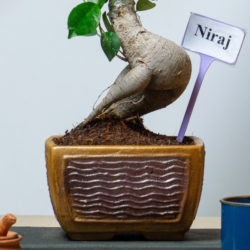 product-gallery