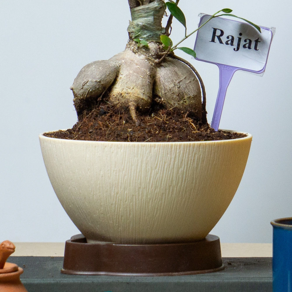product-gallery