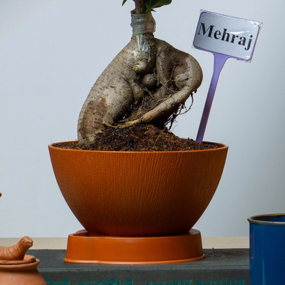 product-gallery