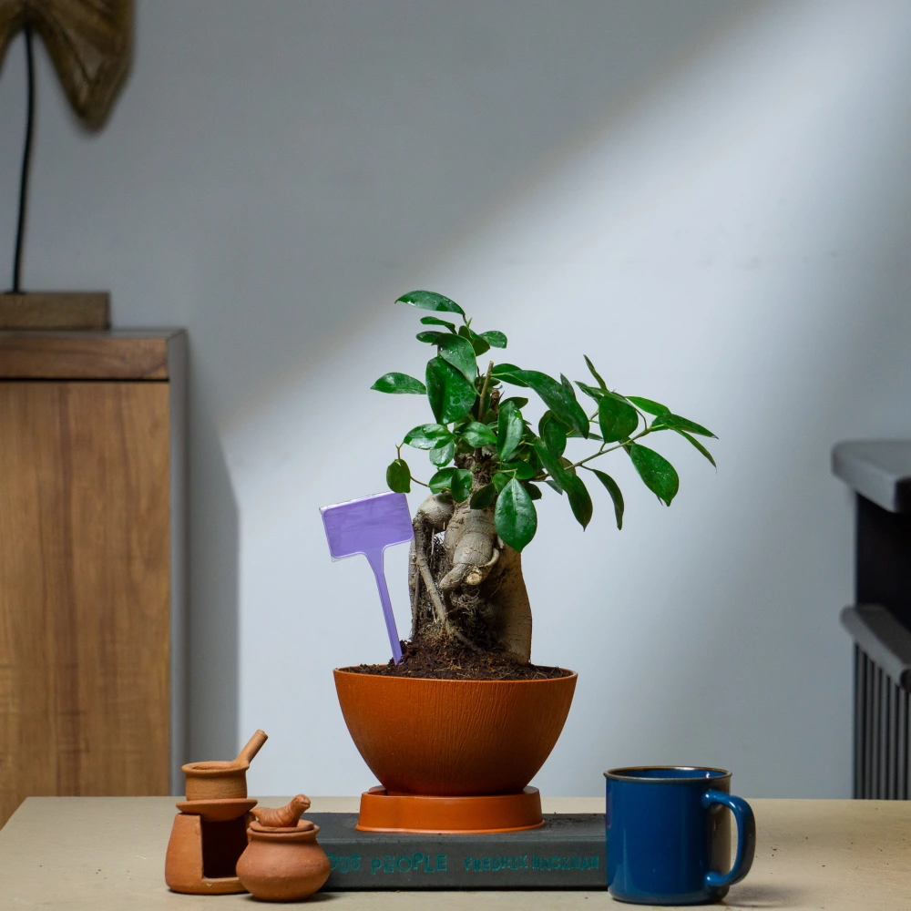 product-gallery