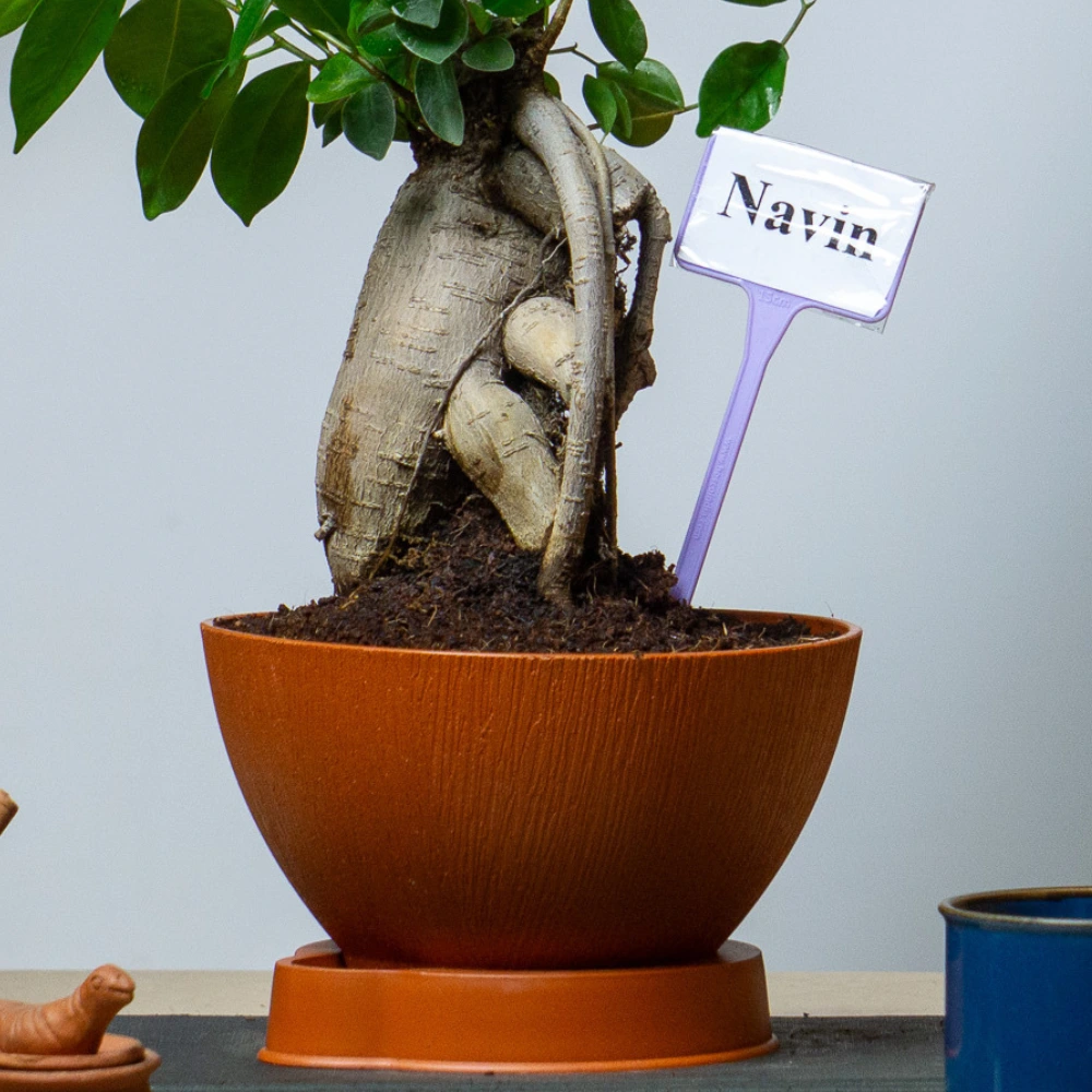 product-gallery
