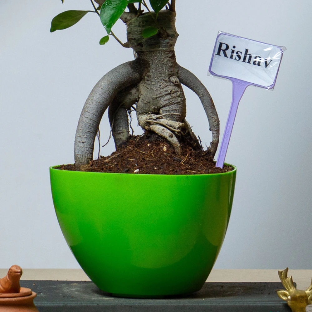product-gallery