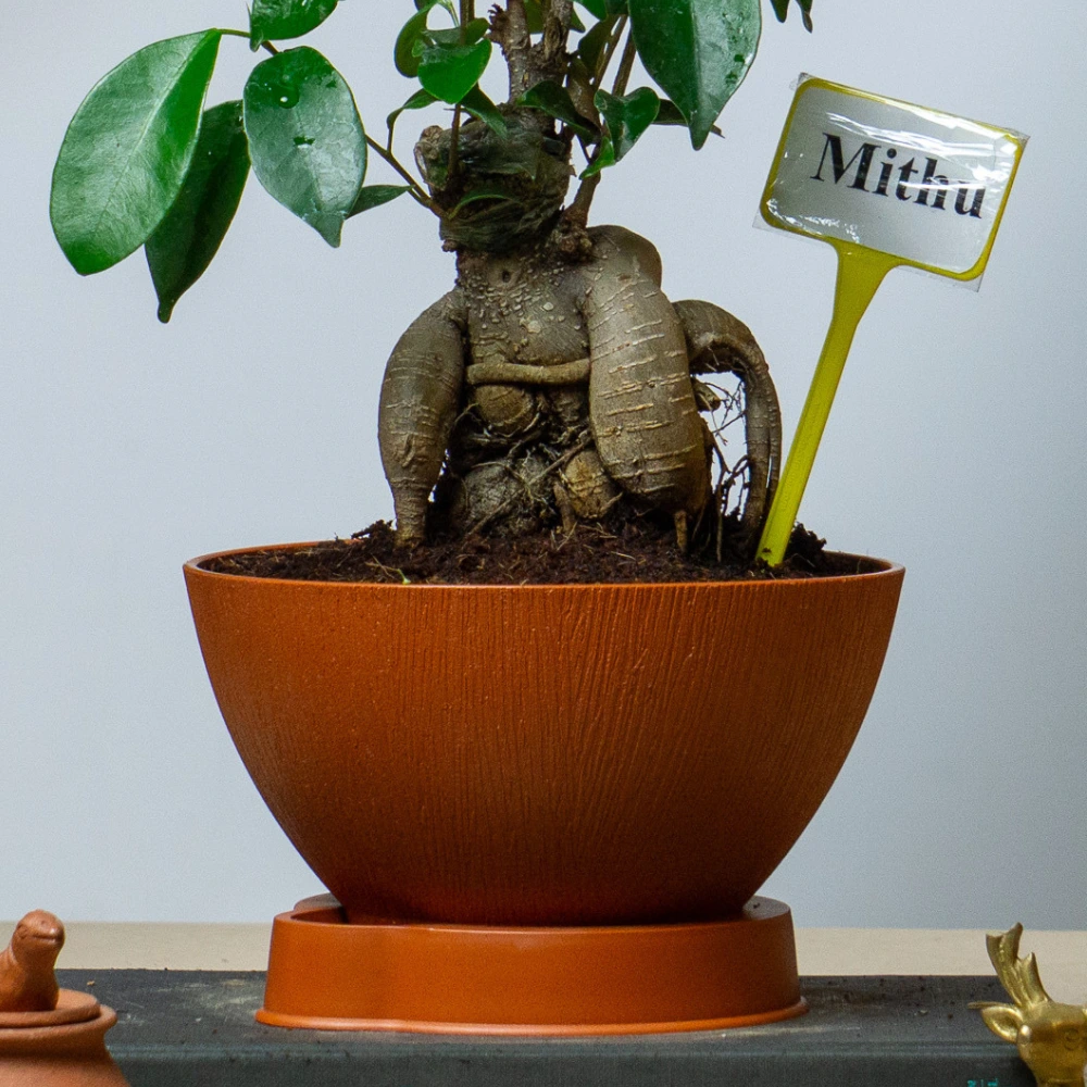 product-gallery