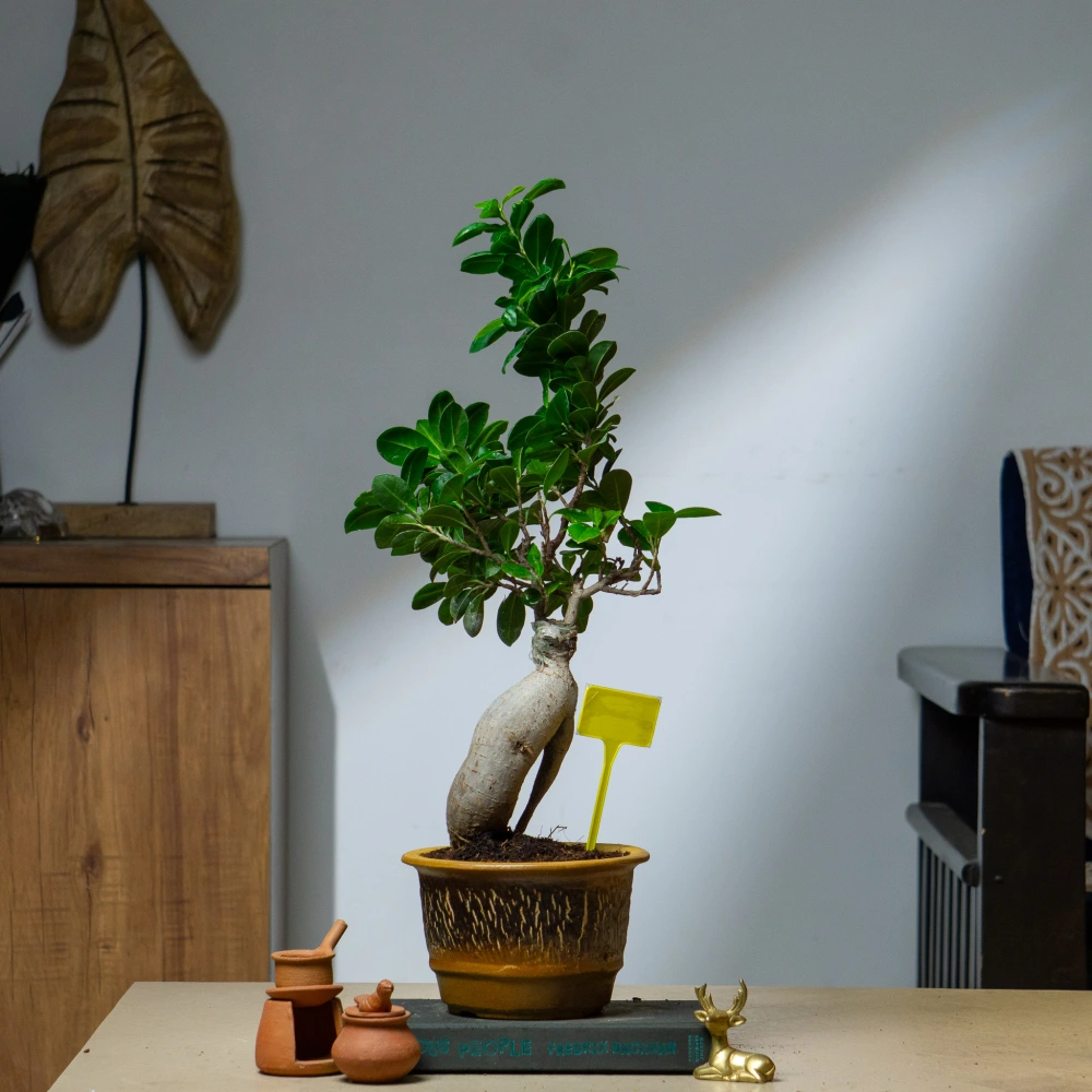 product-gallery