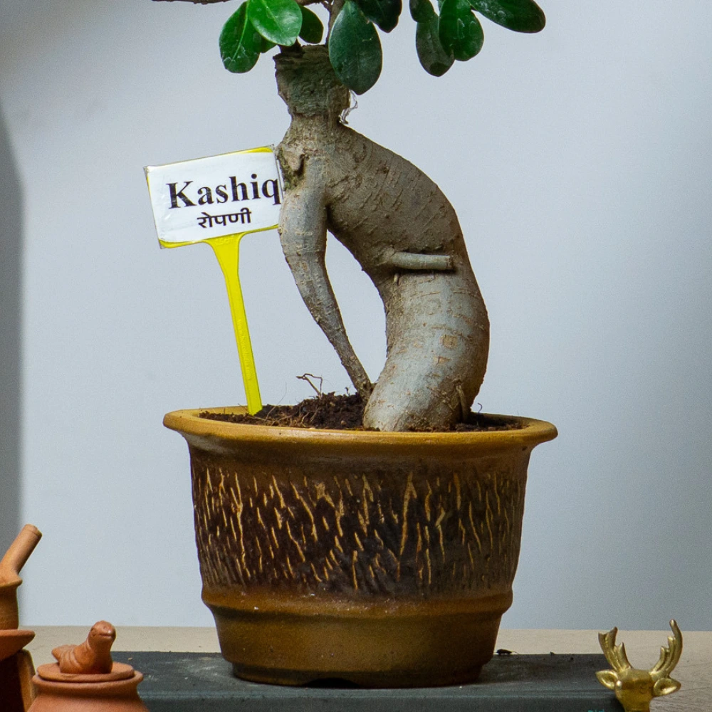 product-gallery