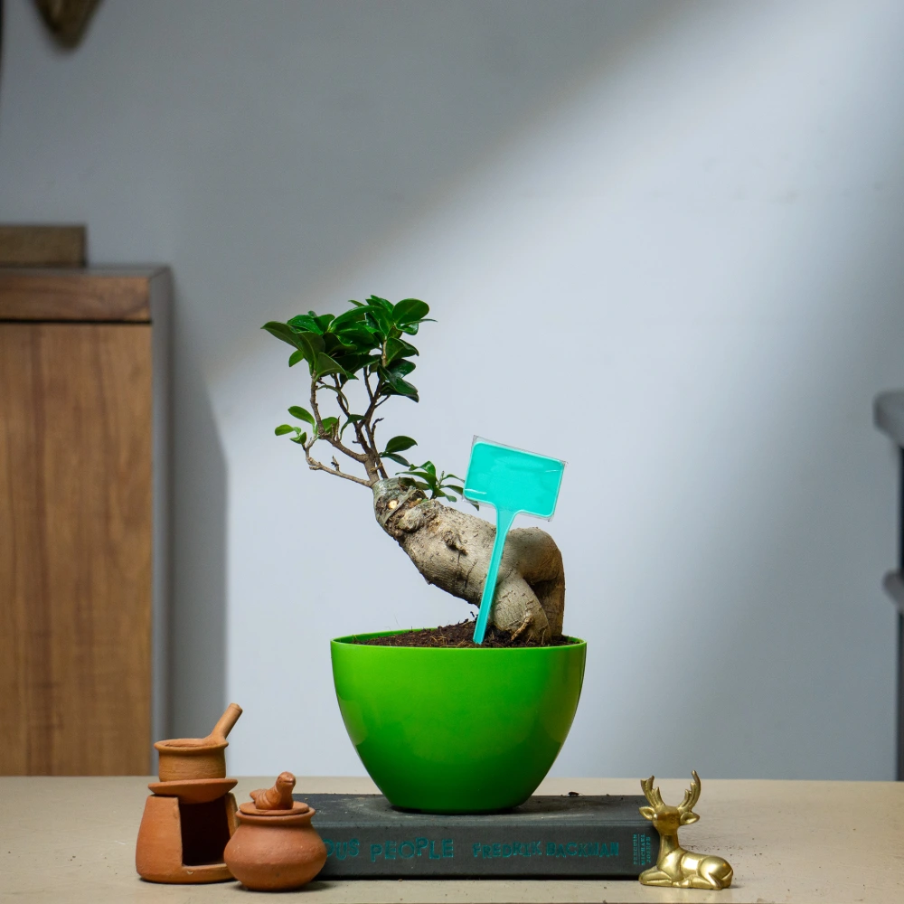 product-gallery