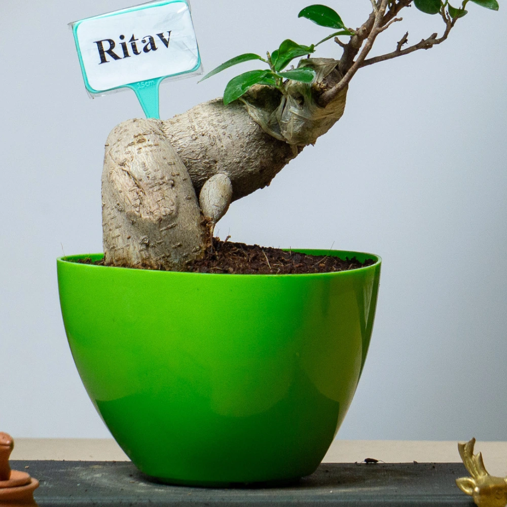product-gallery